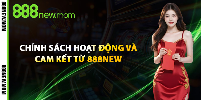 Cờ Bạc Có Trách Nhiệm – Giải Trí Lành Mạnh Cùng 888New 3 Chính Sách Hoạt Động Và Cam Kết Từ 888New